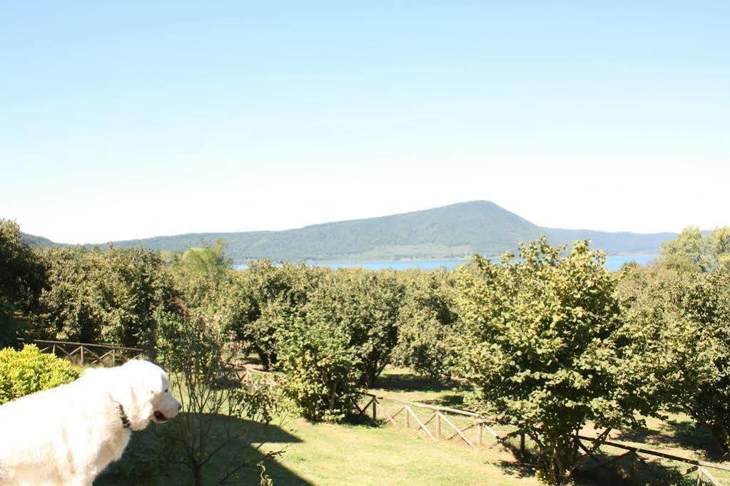 La Finestra Sul Lago 론시글리오네 외부 사진